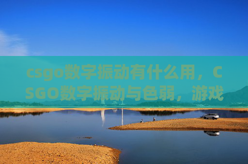 csgo数字振动有什么用，CSGO数字振动与色弱，游戏内视觉体验的探讨