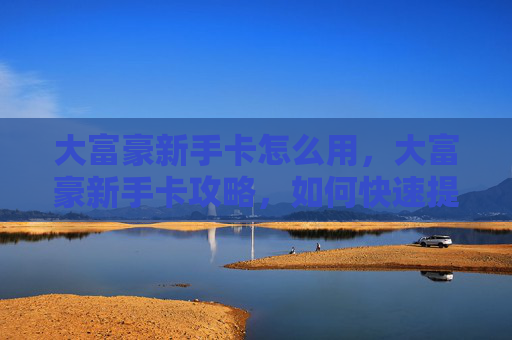 大富豪新手卡怎么用,大富豪新手卡攻略,如何快速提升你的游戏实力 大富豪新手卡怎么用,大富豪新手卡攻略,如何快速提升你的游戏实力