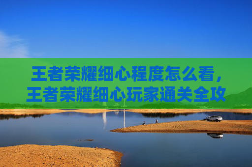 王者荣耀细心程度怎么看，王者荣耀细心玩家通关全攻略，细节控从入门到精通，轻松拿下高分段胜利