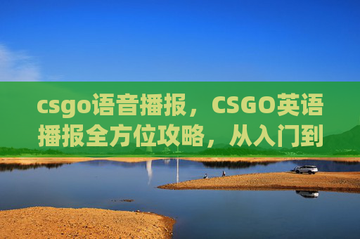 csgo语音播报，CSGO英语播报全方位攻略，从入门到进阶，轻松驾驭游戏核心内容
