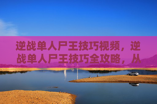 逆战单人尸王技巧视频，逆战单人尸王技巧全攻略，从熟悉机制到极限操作，轻松击杀带血目标