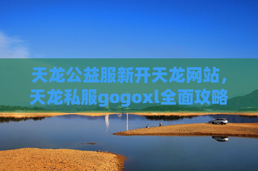 天龙公益服新开天龙网站，天龙私服gogoxl全面攻略，新手必看，老手提升技巧