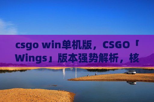 csgo win单机版，CSGO「Wings」版本强势解析，核心机制优化与实战通关攻略