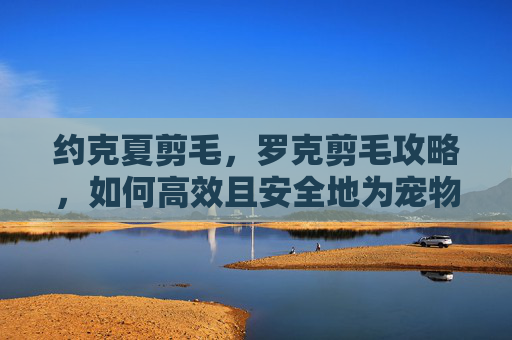 约克夏剪毛，罗克剪毛攻略，如何高效且安全地为宠物进行毛发修剪