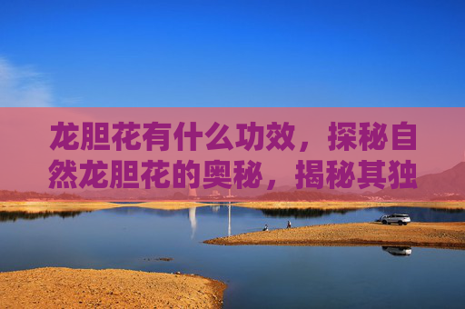 龙胆花有什么功效，探秘自然龙胆花的奥秘，揭秘其独特之美与药用价值