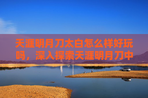天涯明月刀太白怎么样好玩吗，深入探索天涯明月刀中的太白职业——剑术与策略的完美结合