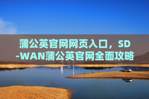 蒲公英官网网页入口，SD-WAN蒲公英官网全面攻略，如何选择合适的SD-WAN解决方案？