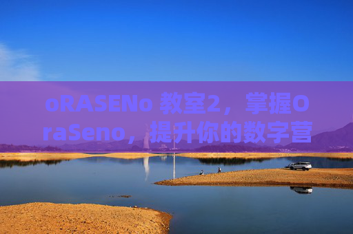 oRASENo 教室2，掌握OraSeno，提升你的数字营销效率