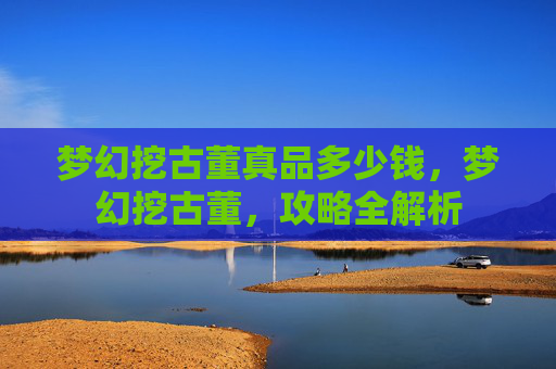 梦幻挖古董真品多少钱，梦幻挖古董，攻略全解析