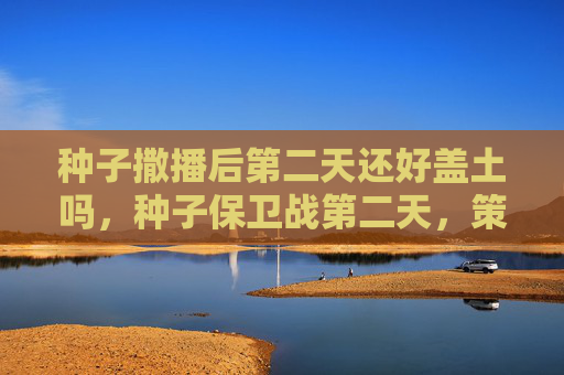 种子撒播后第二天还好盖土吗，种子保卫战第二天，策略与技巧全解析