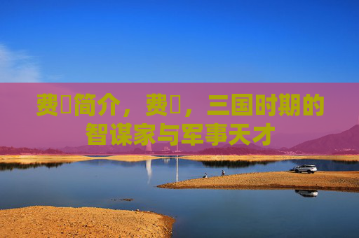 费祎简介，费祎，三国时期的智谋家与军事天才