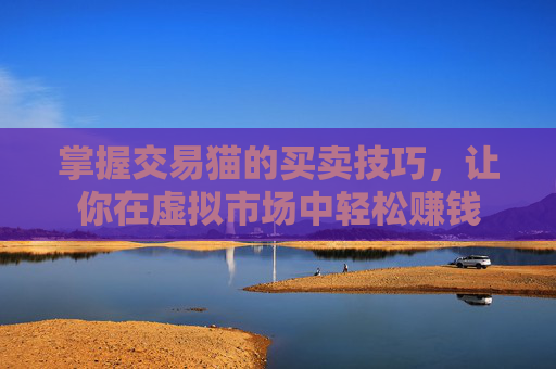 掌握交易猫的买卖技巧，让你在虚拟市场中轻松赚钱