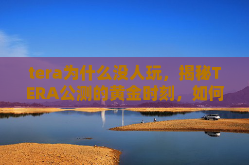 tera为什么没人玩，揭秘TERA公测的黄金时刻，如何抓住游戏上线的先机