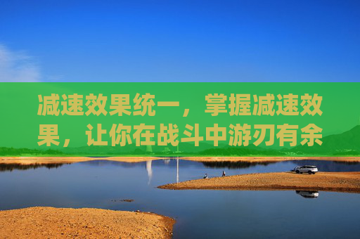 减速效果统一，掌握减速效果，让你在战斗中游刃有余！