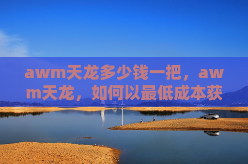 awm天龙多少钱一把，awm天龙，如何以最低成本获取并使用