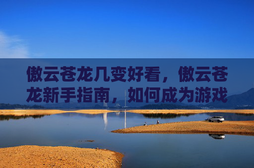 傲云苍龙几变好看,傲云苍龙新手指南,如何成为游戏中的顶尖玩家? 傲云苍龙几变好看,傲云苍龙新手指南,如何成为游戏中的顶尖玩家?