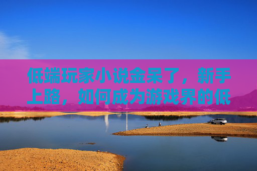 低端玩家小说金呆了，新手上路，如何成为游戏界的低端玩家
