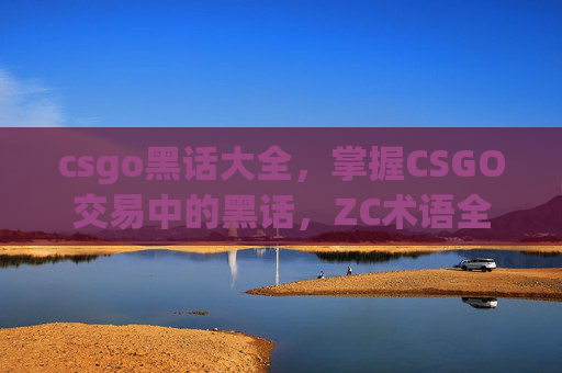 csgo黑话大全，掌握CSGO交易中的黑话，ZC术语全解析