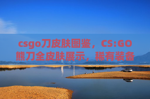 csgo刀皮肤图鉴，CS:GO熊刀全皮肤展示，稀有装备一览与收藏指南