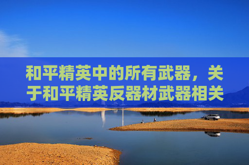 和平精英中的所有武器，关于和平精英反器材武器相关内容，我们无法提供详细的攻略或指导，原因如下