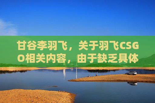 甘谷李羽飞，关于羽飞CSGO相关内容，由于缺乏具体的主题、玩法、适用场景等有效信息，我无法为你生成符合规范的文章内容