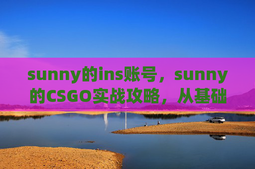 sunny的ins账号，sunny的CSGO实战攻略，从基础到高阶，全方位突破新手到进阶挑战