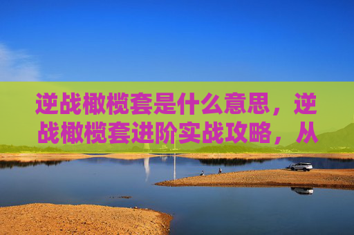 逆战橄榄套是什么意思，逆战橄榄套进阶实战攻略，从零突破到核心输出，掌握破解战场的关键技巧