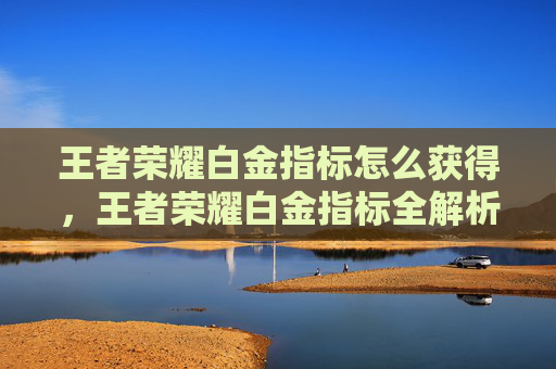 王者荣耀白金指标怎么获得，王者荣耀白金指标全解析，精准定位提升战力，让战绩突破稳定高光