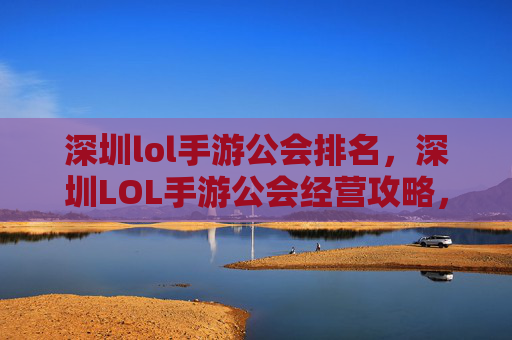 深圳lol手游公会排名，深圳LOL手游公会经营攻略，打造高效团队协作、稳定资源获取的实战指南