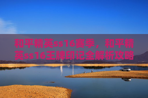 和平精英ss16赛季，和平精英ss16王牌印记全解析攻略，全方位玩转印记，赢取巅峰游戏体验