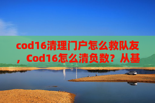 cod16清理门户怎么救队友，Cod16怎么清负数？从基础到进阶全流程指南，轻松破解数值负数问题