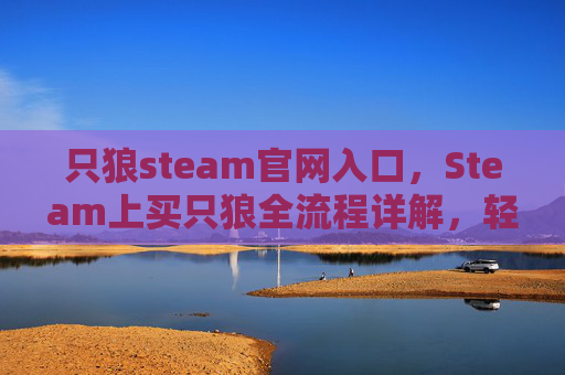 只狼steam官网入口，Steam上买只狼全流程详解，轻松掌握购买要点与操作技巧，畅玩游戏必备指南