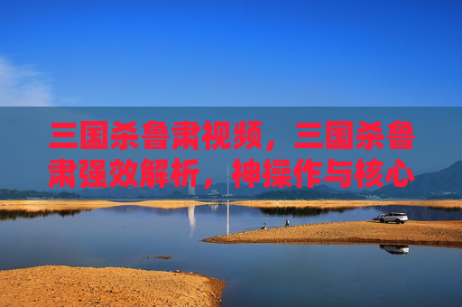 三国杀鲁肃视频，三国杀鲁肃强效解析，神操作与核心战法深度攻略，助你精准制胜