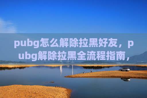 pubg怎么解除拉黑好友，pubg解除拉黑全流程指南，快速找到并撤销系统限制，恢复游戏公平参与