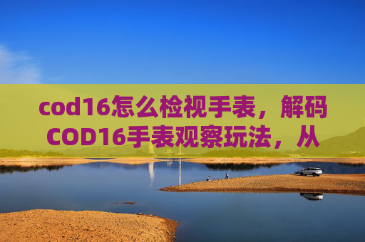 cod16怎么检视手表，解码COD16手表观察玩法，从入门到精通的全攻略
