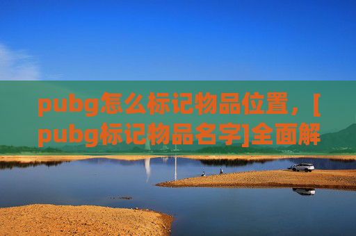 pubg怎么标记物品位置，[pubg标记物品名字]全面解析技巧与实战操作指南