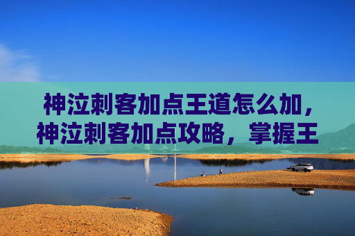 神泣刺客加点王道怎么加，神泣刺客加点攻略，掌握王道，成为游戏中的终极刺客