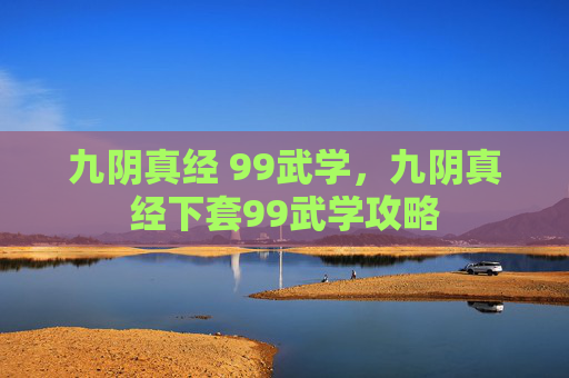 九阴真经 99武学，九阴真经下套99武学攻略