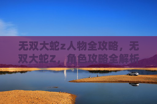 无双大蛇z人物全攻略,无双大蛇Z,角色攻略全解析 无双大蛇z人物全攻略,无双大蛇Z,角色攻略全解析