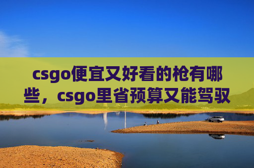 csgo便宜又好看的枪有哪些，csgo里省预算又能驾驭的百元好枪攻略，新手也能轻松找到心头好