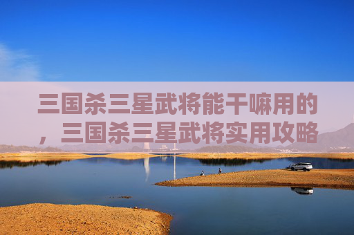 三国杀三星武将能干嘛用的，三国杀三星武将实用攻略，全方位解析其能力与打法价值