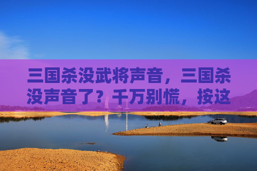 三国杀没武将声音，三国杀没声音了？千万别慌，按这几步快速修复，游戏状态秒回正常！