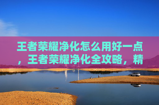 王者荣耀净化怎么用好一点，王者荣耀净化全攻略，精准定位+合理配合，高效应对强化、被动机制挑战