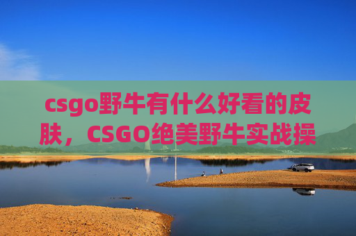 csgo野牛有什么好看的皮肤，CSGO绝美野牛实战操作攻略，用精准走位与战术配合玩转「好看野牛」效果