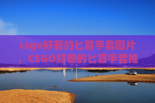 csgo好看的匕首手套图片，CSGO好看的匕首手套推荐清单，选对款式，解锁战场的高级操作体验