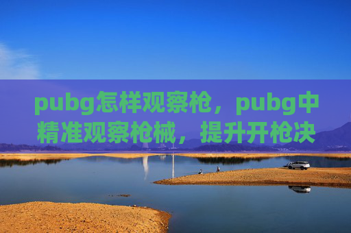 pubg怎样观察枪，pubg中精准观察枪械，提升开枪决策与战术应变的核心攻略