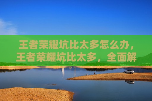 王者荣耀坑比太多怎么办，王者荣耀坑比太多，全面解析技巧与避坑指南，让你快速提升操作水平