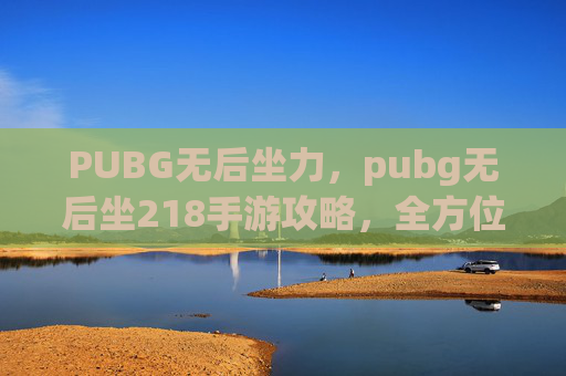 PUBG无后坐力，pubg无后坐218手游攻略，全方位突破，畅享游戏乐趣