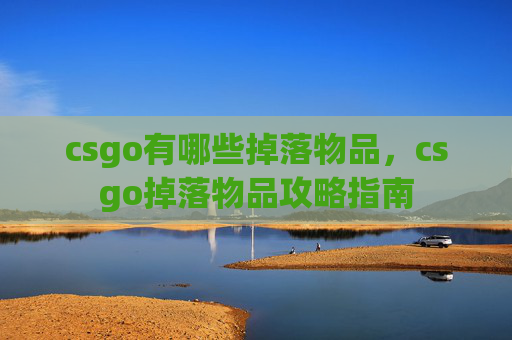 csgo有哪些掉落物品，csgo掉落物品攻略指南