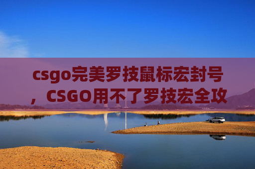 csgo完美罗技鼠标宏封号，CSGO用不了罗技宏全攻略，解决痛点，畅享竞技乐趣